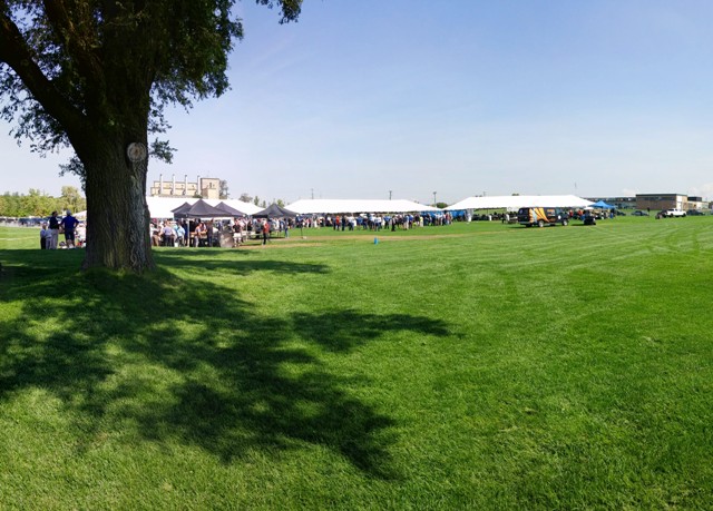 downsview park food festival